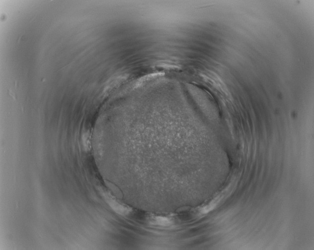 X0000088030285200705251124