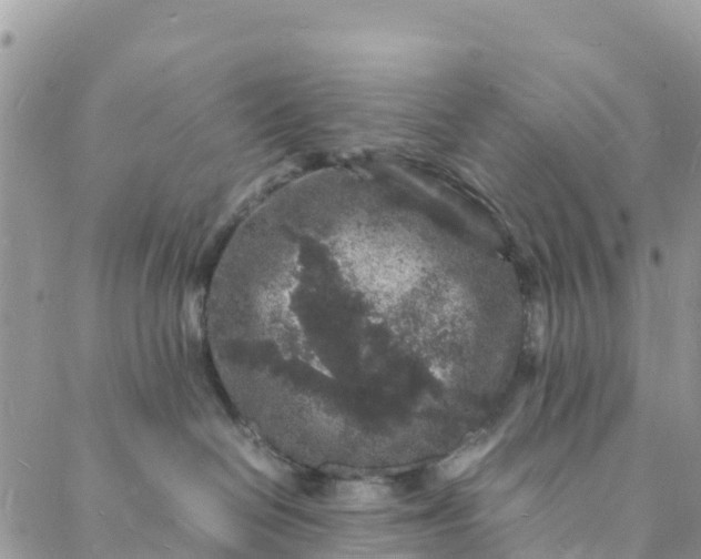 X0000088030286200705251124