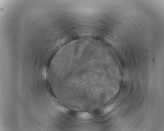 X0000088030287200705251124