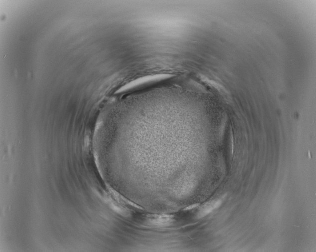 X0000088030288200705251124