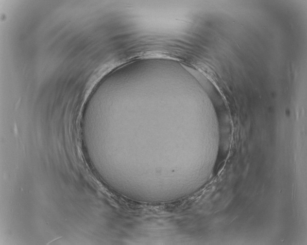 X0000088030289200705251123