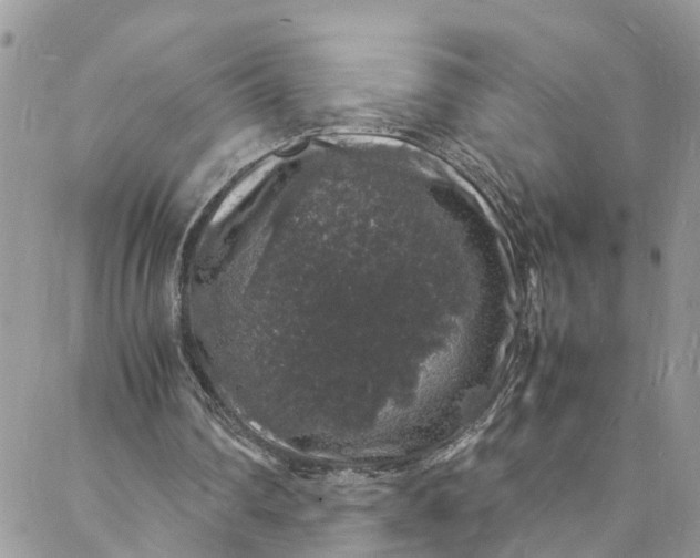 X0000088030290200705251123