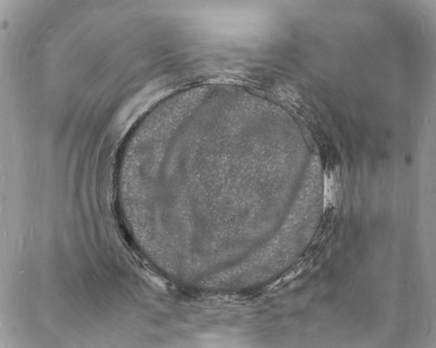 X0000088030291200705251123