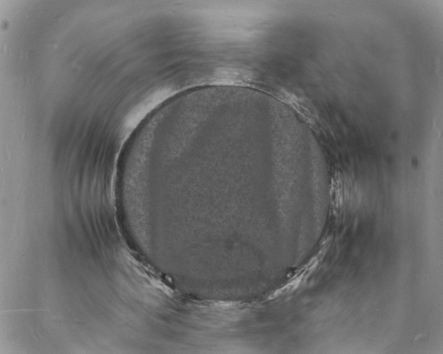 X0000088030292200705251123