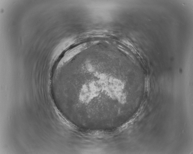 X0000088030293200705251123