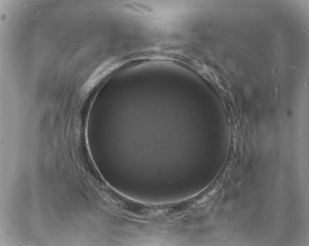 X0000088030295200705251123