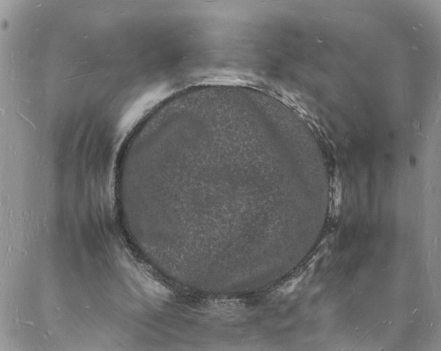 X0000088030296200705251123