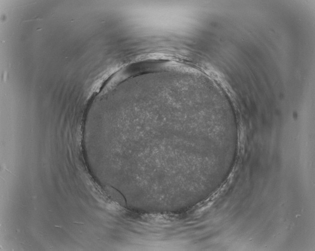 X0000088030297200705251123