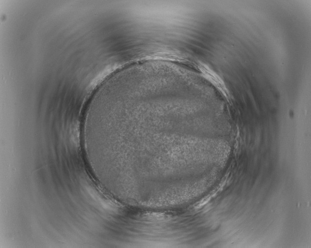 X0000088030298200705251123