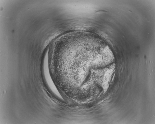 X0000088030299200705251123