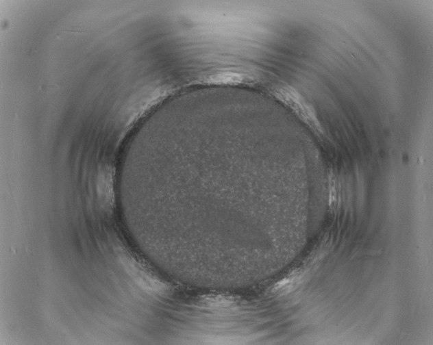 X0000088030300200705251123