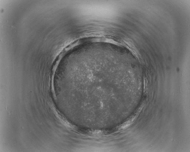 X0000088030301200705251123