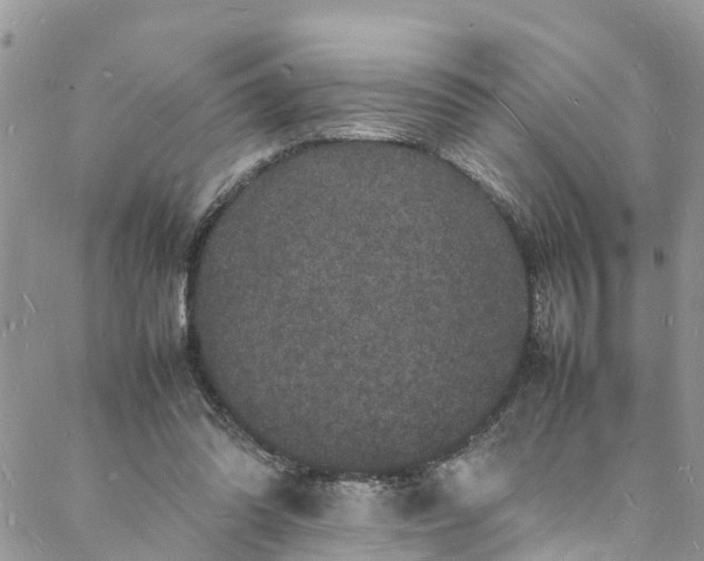 X0000088030302200705251123