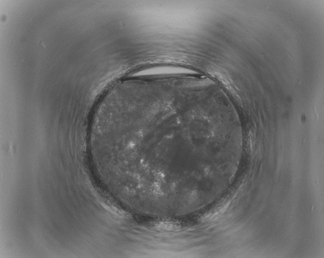 X0000088030303200705251123