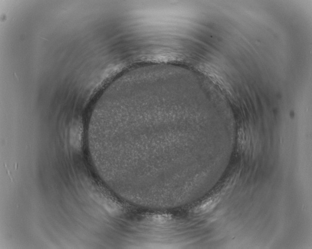 X0000088030304200705251123