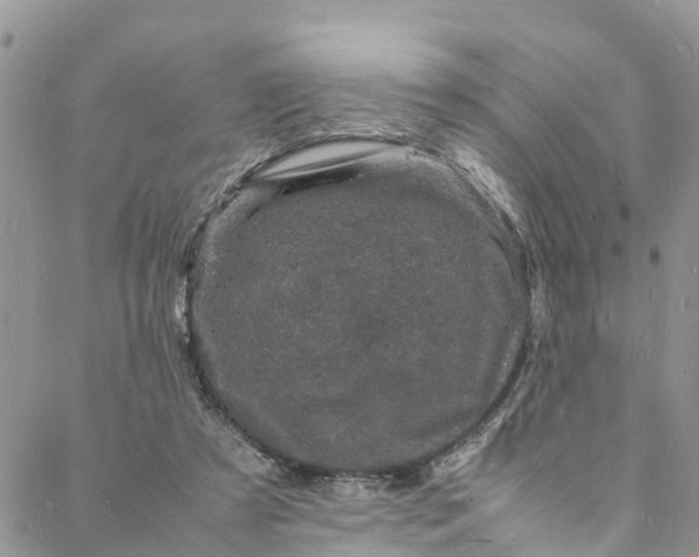 X0000088030305200705251123