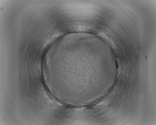 X0000088030306200705251123