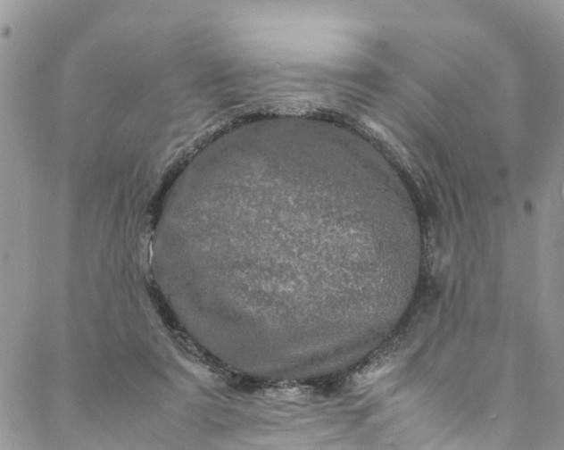 X0000088030307200705251123