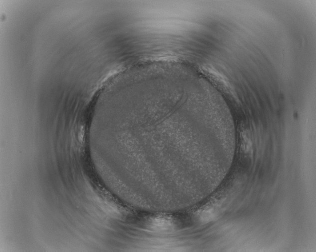 X0000088030308200705251123