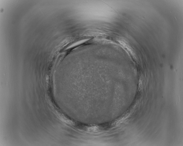 X0000088030309200705251123