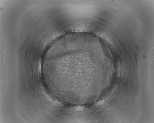 X0000088030310200705251123