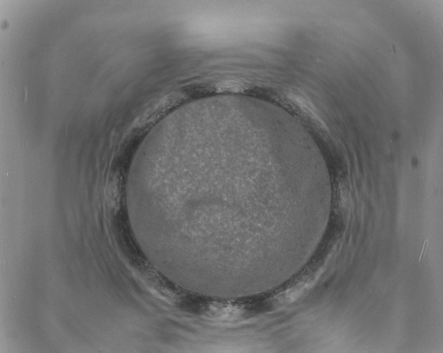 X0000088030311200705251123