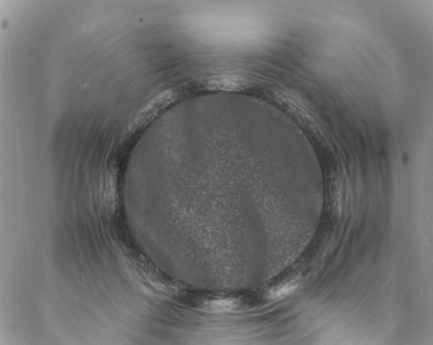 X0000088030312200705251123