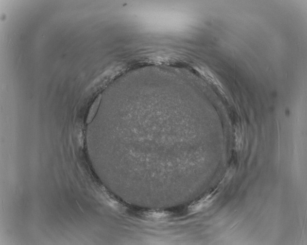 X0000088030313200705251123