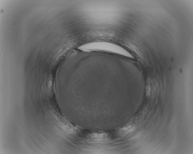 X0000088030314200705251123