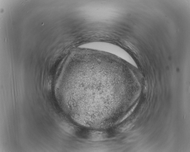 X0000088030315200705251123