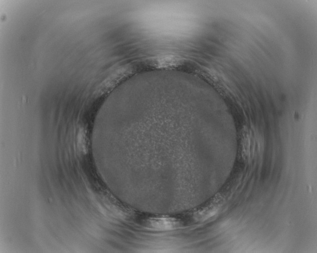 X0000088030316200705251123