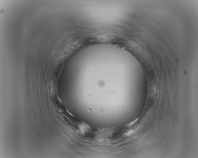 X0000088030317200705251123