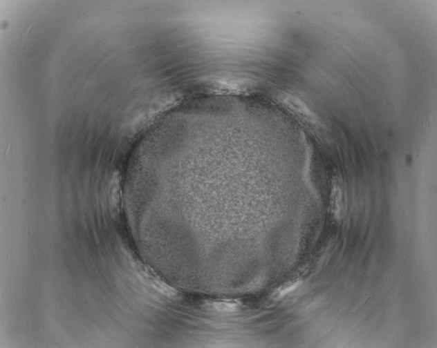 X0000088030318200705251123