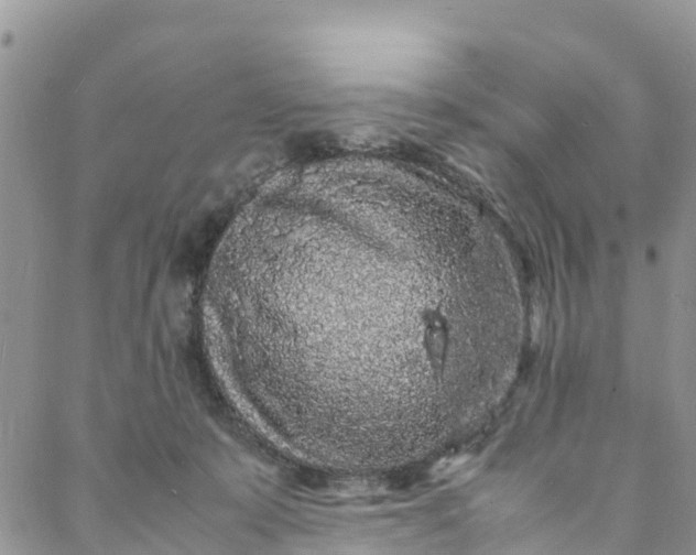 X0000088030319200705251123