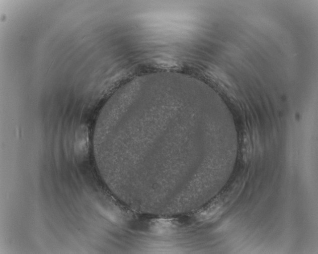 X0000088030320200705251123