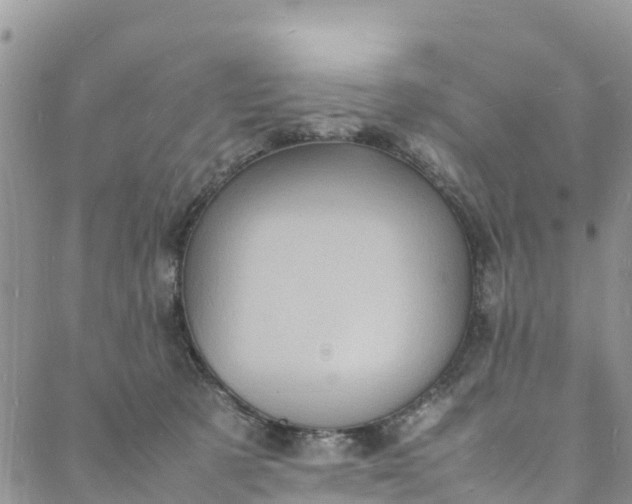 X0000088030321200705251123