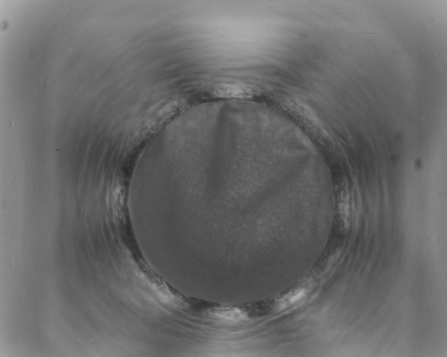 X0000088030322200705251123