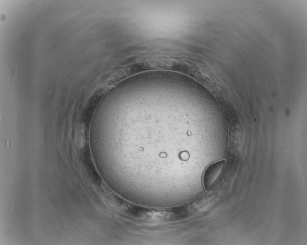 X0000088030323200705251123