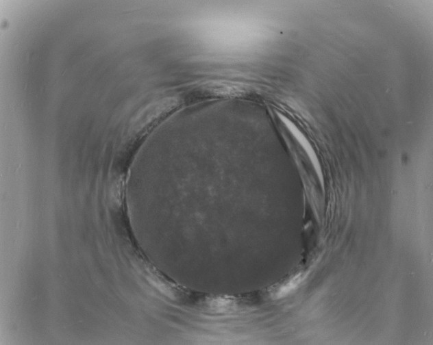 X0000088030325200705251123