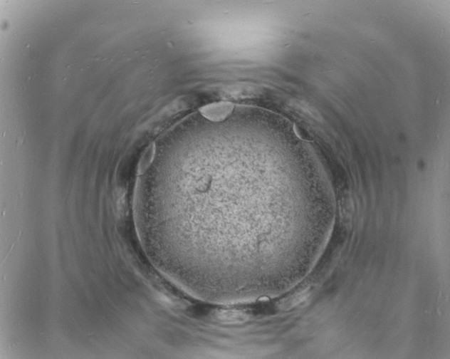 X0000088030327200705251123