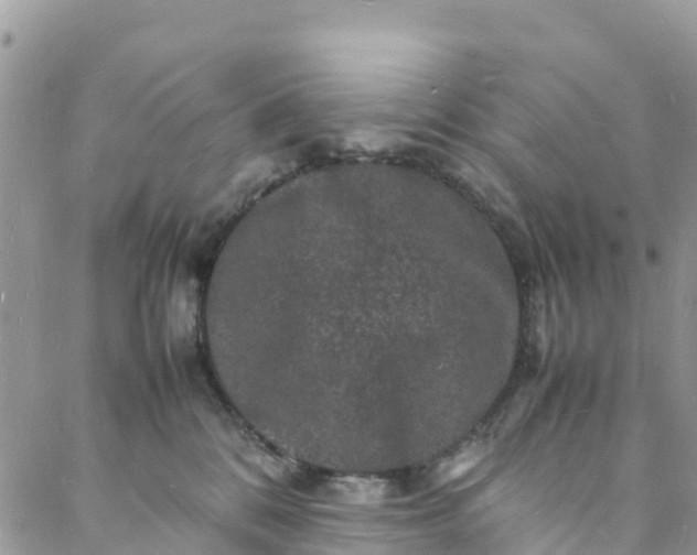 X0000088030328200705251123