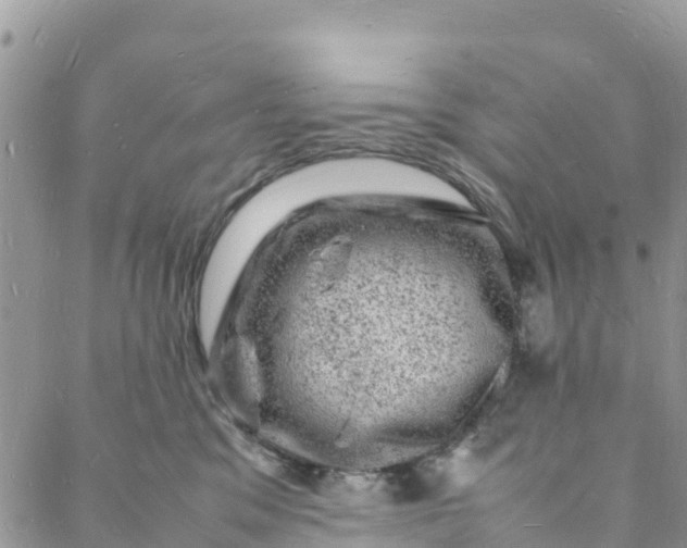 X0000088030329200705251123