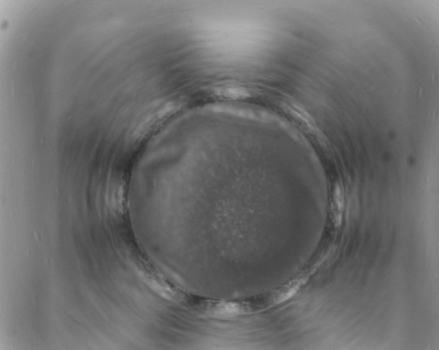 X0000088030330200705251123