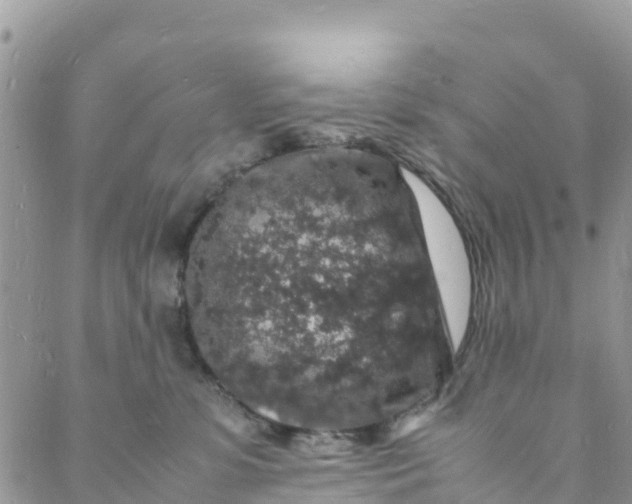 X0000088030331200705251123