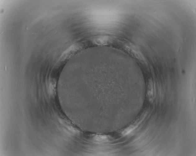 X0000088030332200705251123