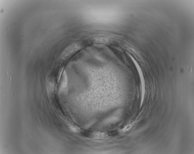 X0000088030333200705251123