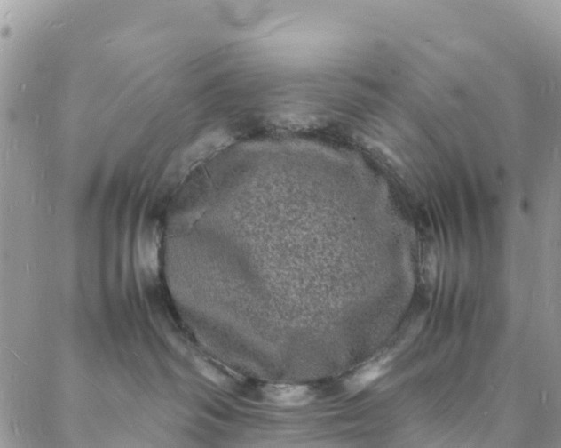 X0000088030334200705251123