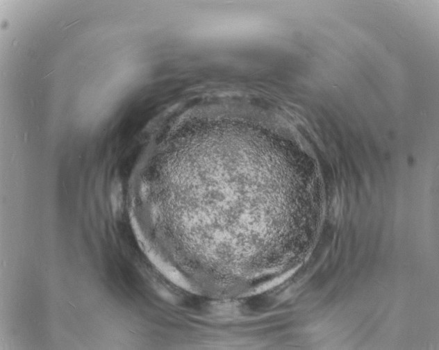 X0000088030335200705251123