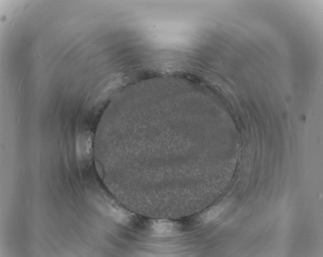 X0000088030336200705251123