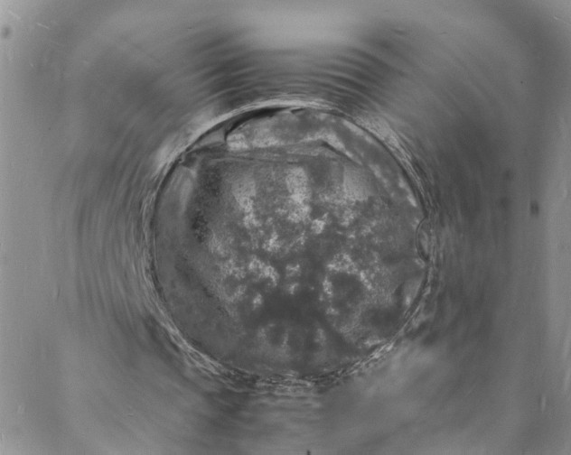 X0000088030337200705251122